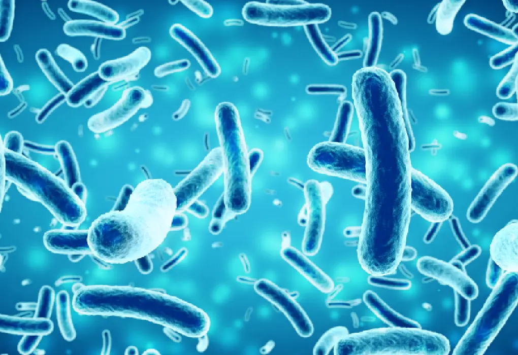 Eggs and the Microbiome