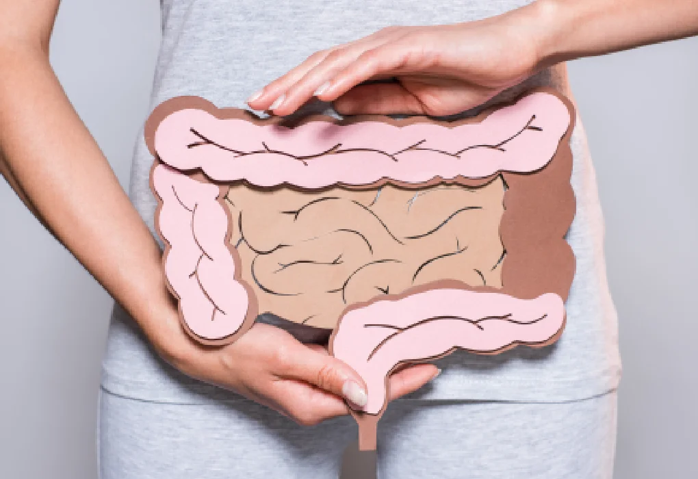 How Long Does the Gut Take to Heal From Alcohol