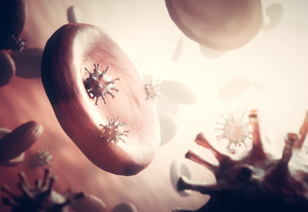 prevent immune disruption